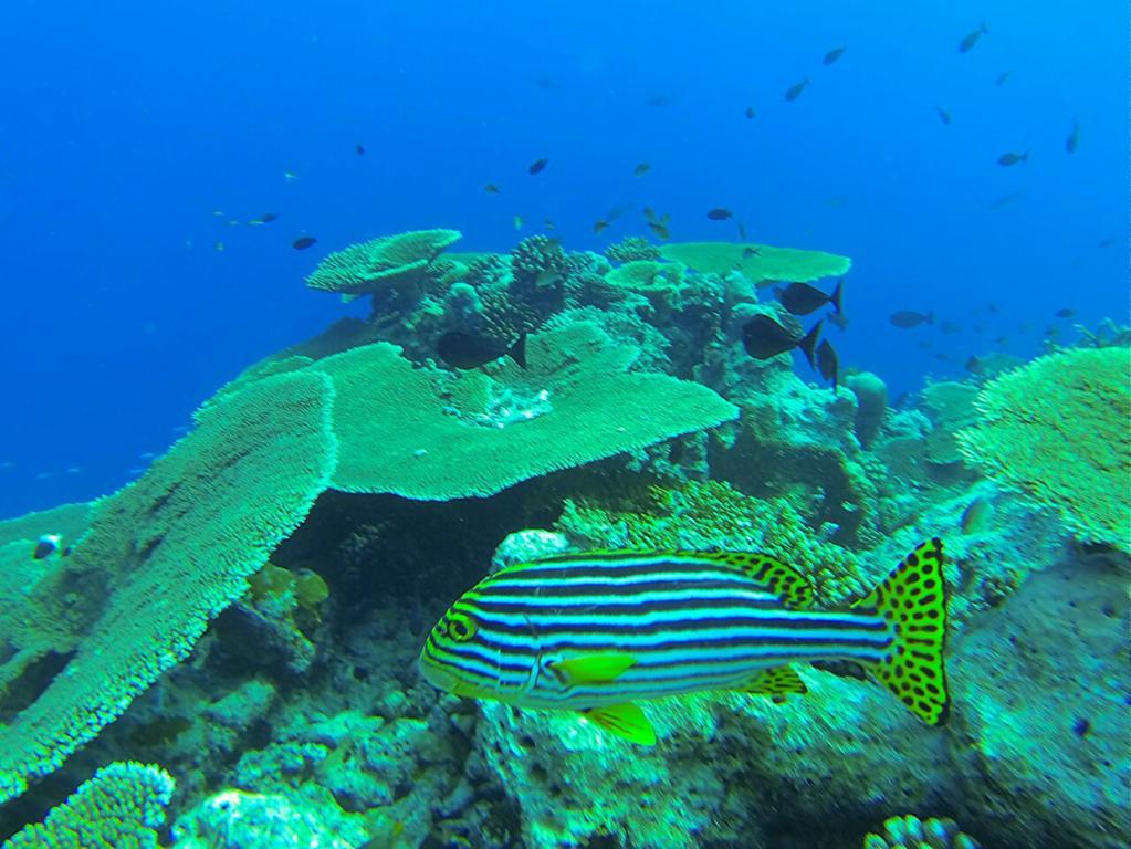 Huzey View Hotel Keyodhoo  ภายนอก รูปภาพ